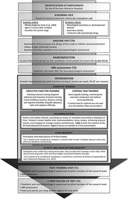 Executive Function Training in Childhood Obesity: Food Choice, Quality of Life, and Brain Connectivity (TOuCH): A Randomized Control Trial Protocol